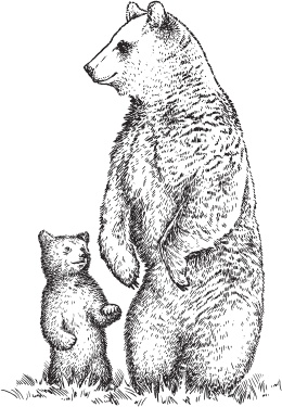 Иллюстрация к книге — Беспризорная кошка (сборник). С вопросами и ответами для почемучек [_9.jpg]