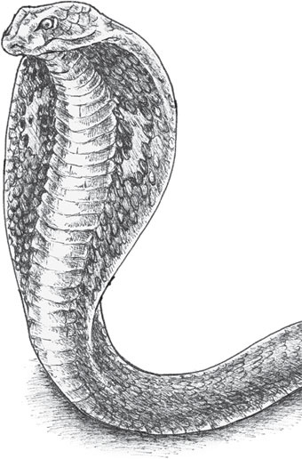 Иллюстрация к книге — Беспризорная кошка (сборник). С вопросами и ответами для почемучек [_94.jpg]