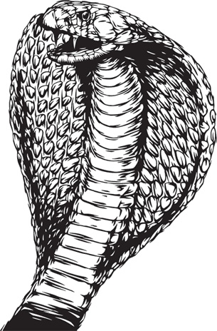 Иллюстрация к книге — Беспризорная кошка (сборник). С вопросами и ответами для почемучек [_98.jpg]