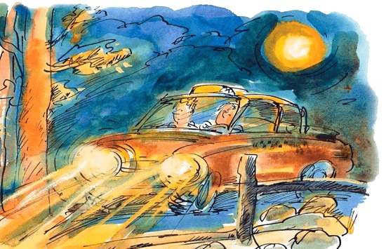 Иллюстрация к книге — Папа, мама, бабушка и восемь детей в деревне, или Маленький подарок Антона [i_073.jpg]