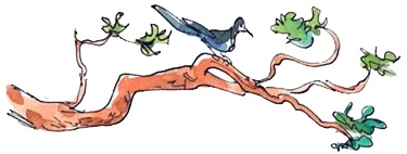 Иллюстрация к книге — Папа, мама, бабушка и восемь детей в деревне, или Маленький подарок Антона [i_082.jpg]