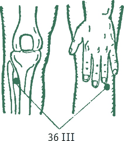 Иллюстрация к книге — Лестница в небо, или Китайская медицина по-русски [i_003.jpg]