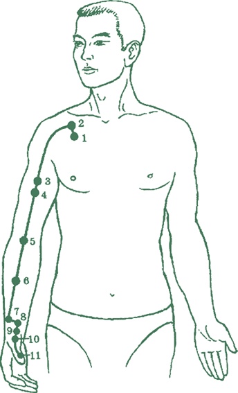 Иллюстрация к книге — Лестница в небо, или Китайская медицина по-русски [i_012.jpg]