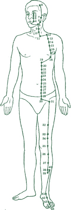 Иллюстрация к книге — Лестница в небо, или Китайская медицина по-русски [i_014.jpg]