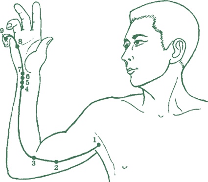 Иллюстрация к книге — Лестница в небо, или Китайская медицина по-русски [i_016.jpg]