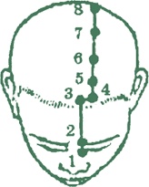 Иллюстрация к книге — Лестница в небо, или Китайская медицина по-русски [i_018.jpg]