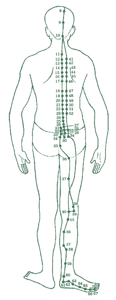 Иллюстрация к книге — Лестница в небо, или Китайская медицина по-русски [i_019.jpg]