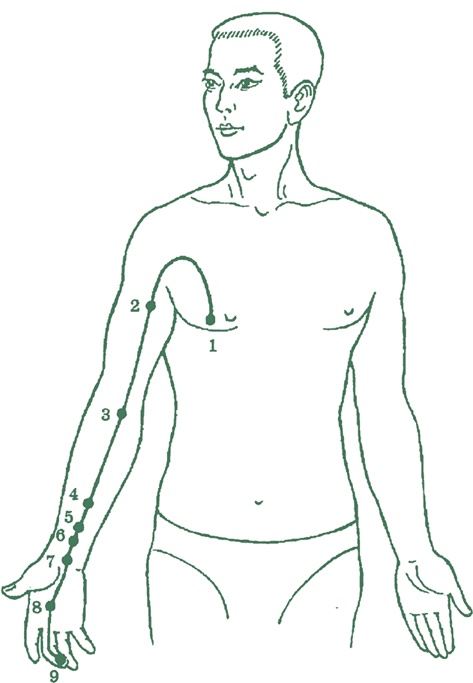 Иллюстрация к книге — Лестница в небо, или Китайская медицина по-русски [i_022.jpg]