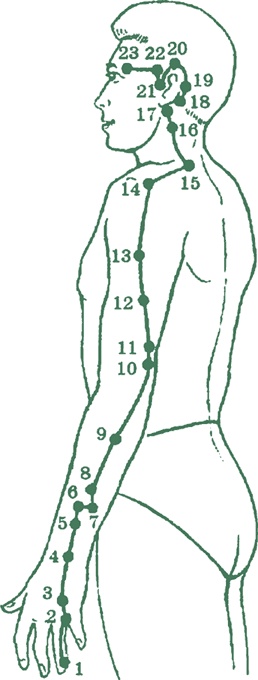 Иллюстрация к книге — Лестница в небо, или Китайская медицина по-русски [i_023.jpg]