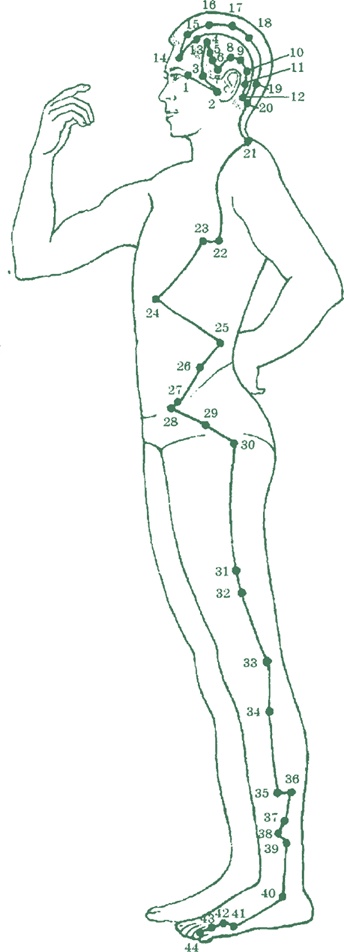 Иллюстрация к книге — Лестница в небо, или Китайская медицина по-русски [i_024.jpg]