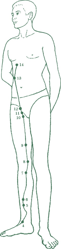 Иллюстрация к книге — Лестница в небо, или Китайская медицина по-русски [i_026.jpg]