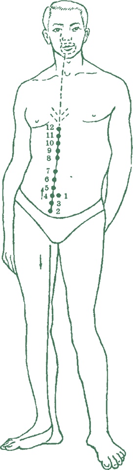 Иллюстрация к книге — Лестница в небо, или Китайская медицина по-русски [i_030.jpg]