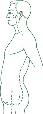 Иллюстрация к книге — Лестница в небо, или Китайская медицина по-русски [i_031.jpg]