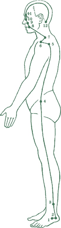 Иллюстрация к книге — Лестница в небо, или Китайская медицина по-русски [i_034.jpg]