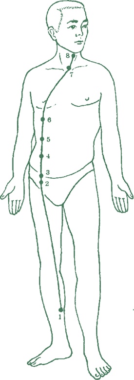 Иллюстрация к книге — Лестница в небо, или Китайская медицина по-русски [i_035.jpg]