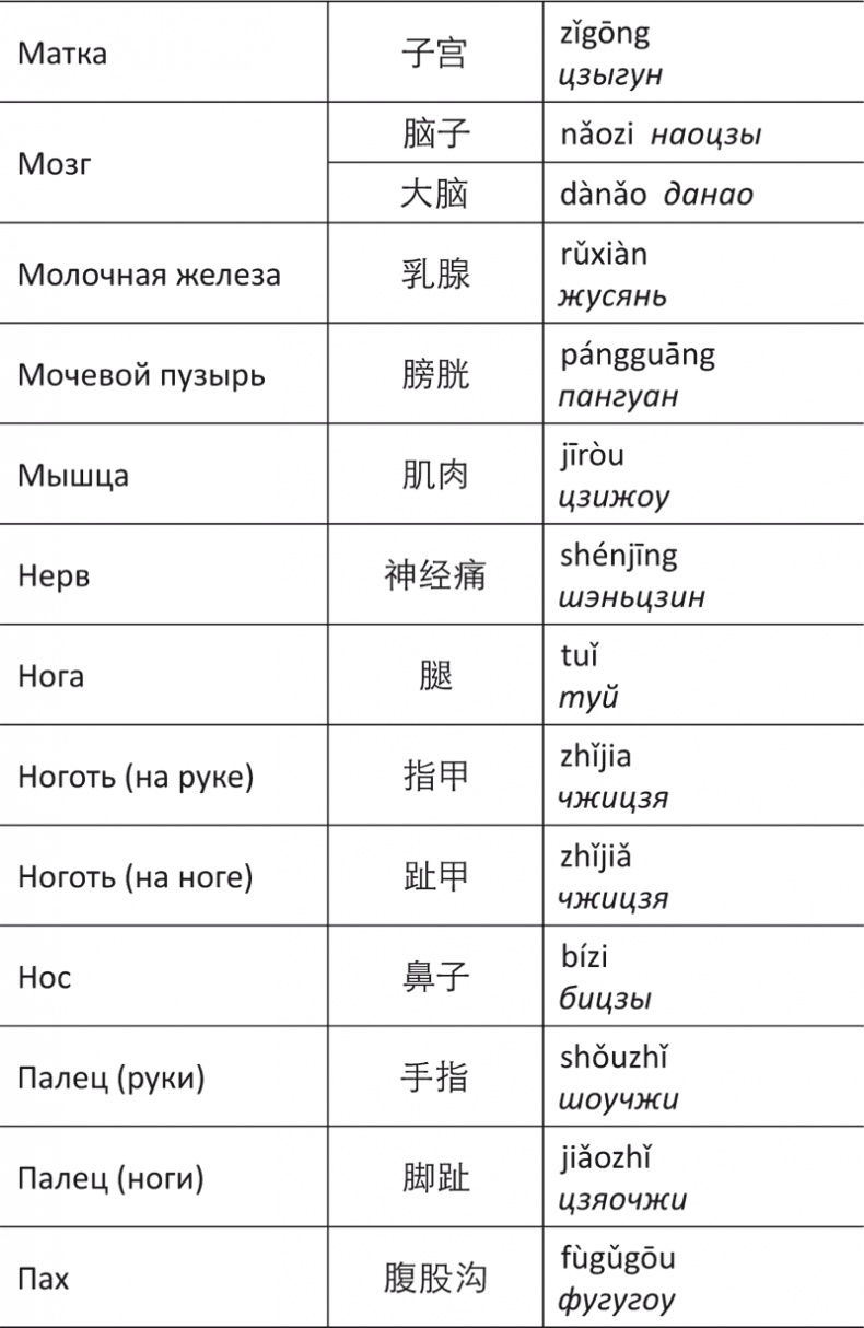 Иллюстрация к книге — Лестница в небо, или Китайская медицина по-русски [i_093.jpg]