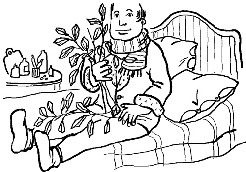 Иллюстрация к книге — Стевия - шаг в бессмертие [i_004.jpg]