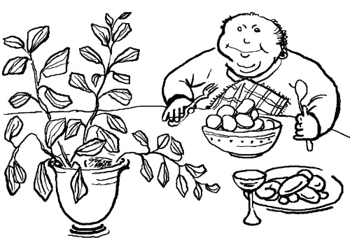 Иллюстрация к книге — Стевия - шаг в бессмертие [i_006.jpg]