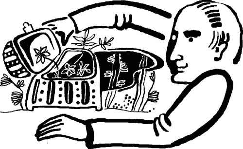 Иллюстрация к книге — Сабельник - болотный целитель [i_002.jpg]