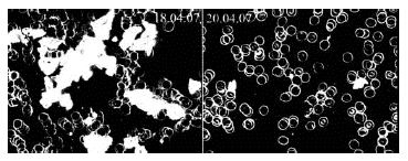 Иллюстрация к книге — Живая и мертвая вода — совершенное лекарство [i_003.jpg]