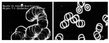 Иллюстрация к книге — Живая и мертвая вода — совершенное лекарство [i_004.jpg]