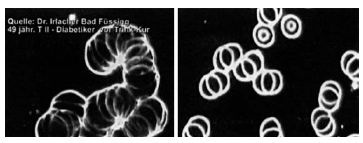 Иллюстрация к книге — Живая и мертвая вода — совершенное лекарство [i_005.jpg]
