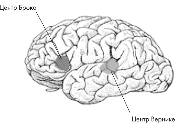 Иллюстрация к книге — Научные битвы за душу. Новейшие знания о мозге и вера в Бога [i_004.jpg]