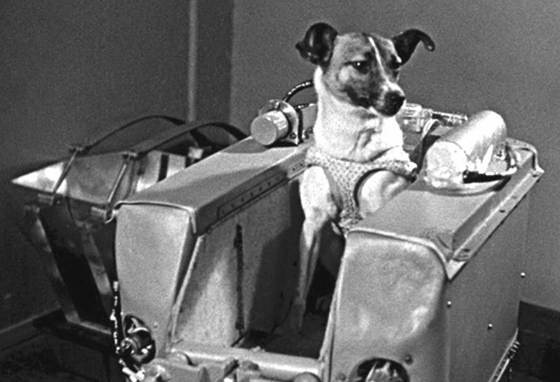 Иллюстрация к книге — История космического соперничества СССР и США [i_027.jpg]