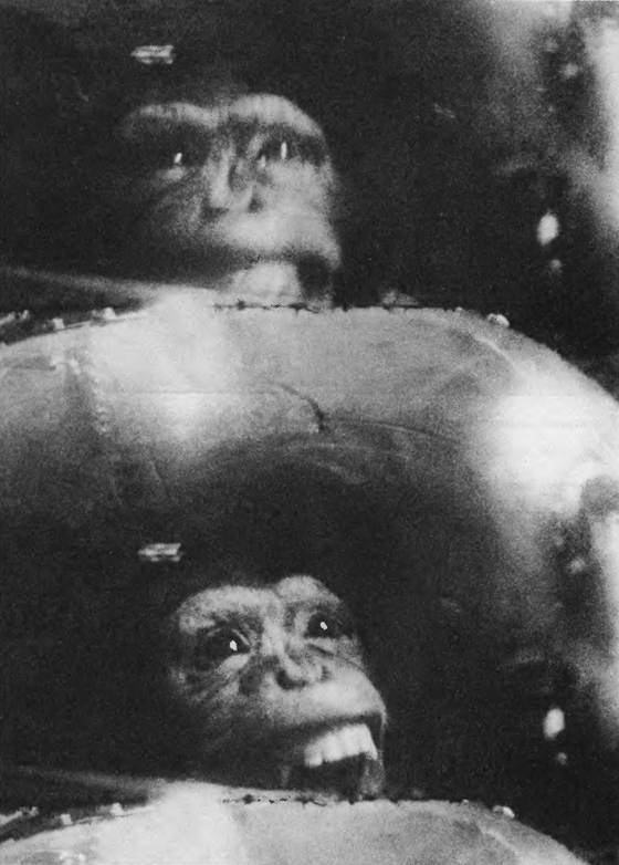 Иллюстрация к книге — История космического соперничества СССР и США [i_028.jpg]