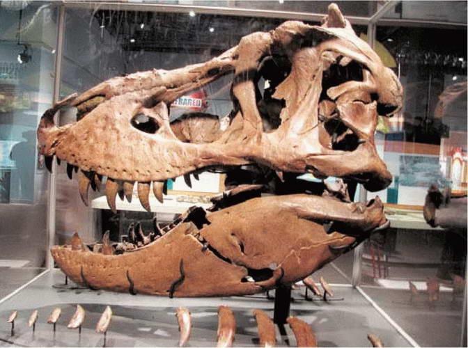 Иллюстрация к книге — Космос. Все о звездах, планетах, космических странниках [i_111.jpg]