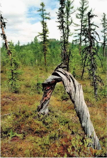 Иллюстрация к книге — Космос. Все о звездах, планетах, космических странниках [i_162.jpg]