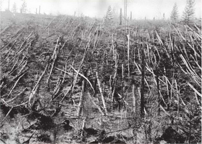 Иллюстрация к книге — Космос. Все о звездах, планетах, космических странниках [i_165.jpg]