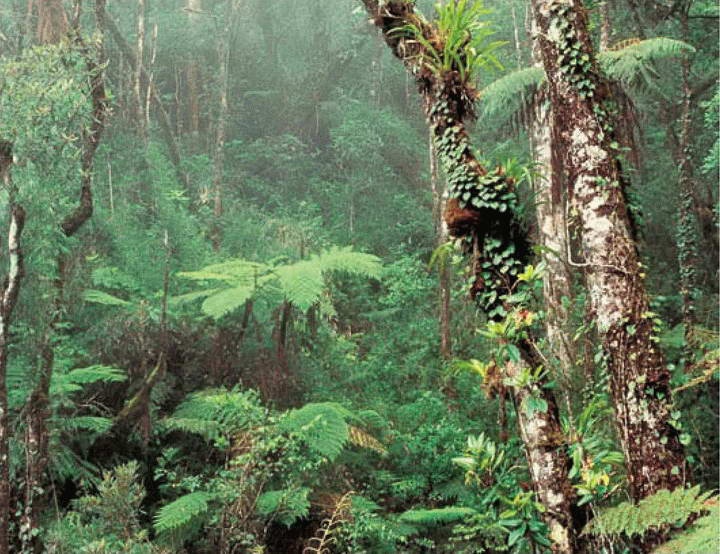 Иллюстрация к книге — Космос. Все о звездах, планетах, космических странниках [i_179.jpg]