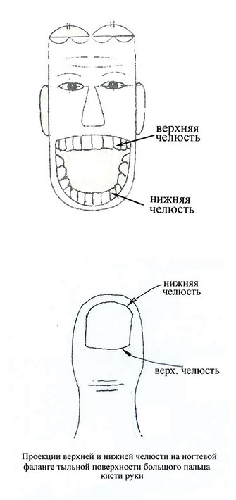 Иллюстрация к книге — Почему мы болеем? Виртуальные реальности болезней и зависимостей. Выход есть! Теория и практика [i_047.jpg]