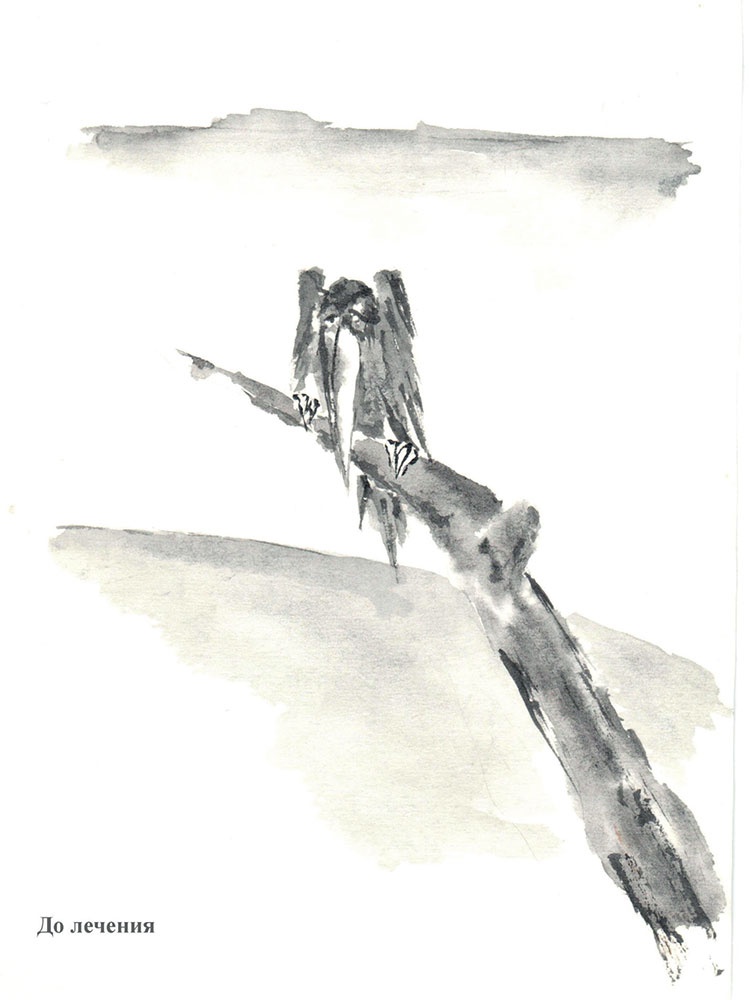 Иллюстрация к книге — Почему мы болеем? Виртуальные реальности болезней и зависимостей. Выход есть! Теория и практика [i_089.jpg]