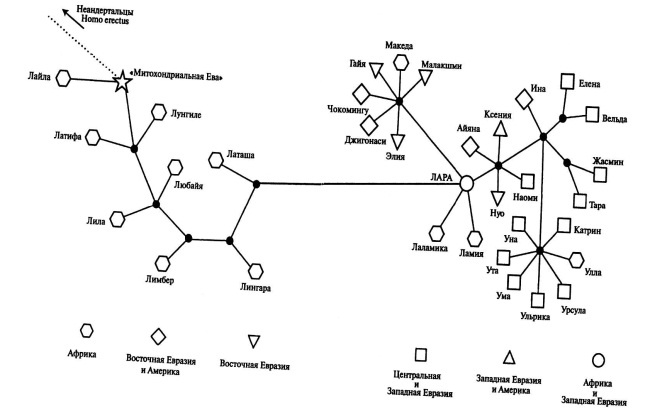 Иллюстрация к книге — Происхождение человека. Инопланетный след [autogen_ebook_id37.jpg]