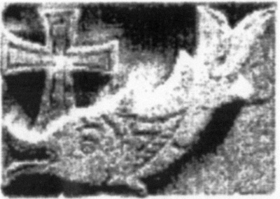 Иллюстрация к книге — Происхождение человека. Инопланетный след [autogen_ebook_id8.jpg]