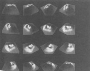 Иллюстрация к книге — Мистерия Марса [i_026.jpg]