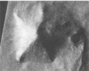 Иллюстрация к книге — Мистерия Марса [i_031.jpg]