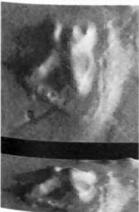 Иллюстрация к книге — Мистерия Марса [i_032.jpg]