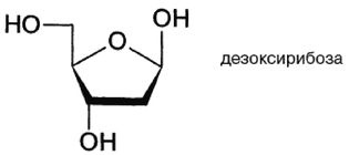 Иллюстрация к книге — Эректус бродит между нами. Покорение белой расы [dnk2.jpg]
