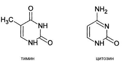 Иллюстрация к книге — Эректус бродит между нами. Покорение белой расы [dnk3.jpg]