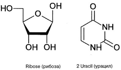 Иллюстрация к книге — Эректус бродит между нами. Покорение белой расы [dnk5.jpg]