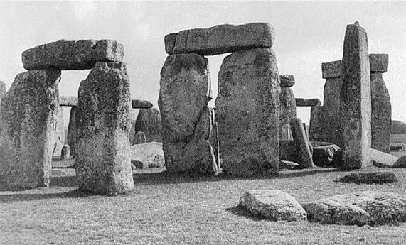 Иллюстрация к книге — Эректус бродит между нами. Покорение белой расы [p152.jpg]