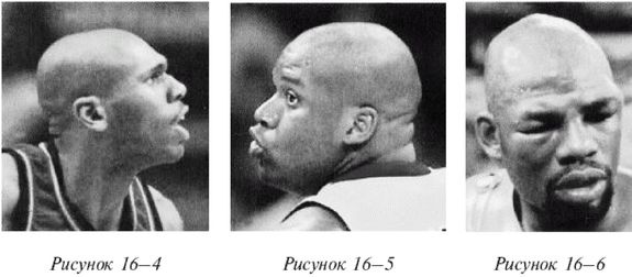 Иллюстрация к книге — Эректус бродит между нами. Покорение белой расы [p164_p165_p166.jpg]