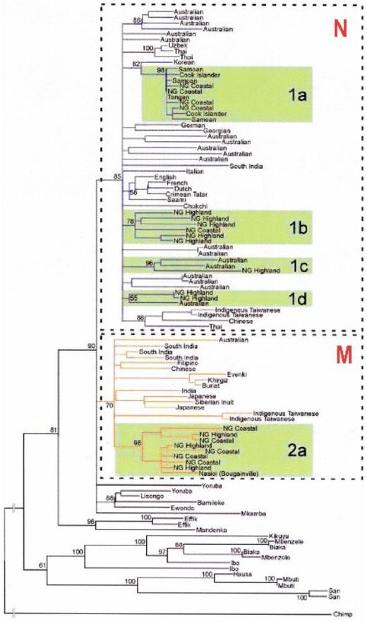 Иллюстрация к книге — Эректус бродит между нами. Покорение белой расы [p203.jpg]
