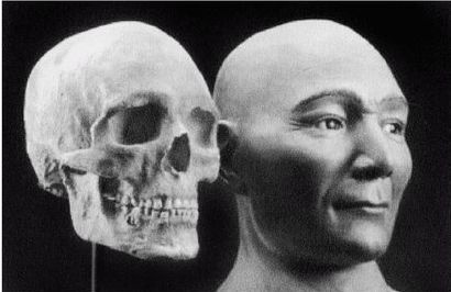 Иллюстрация к книге — Эректус бродит между нами. Покорение белой расы [p205.jpg]