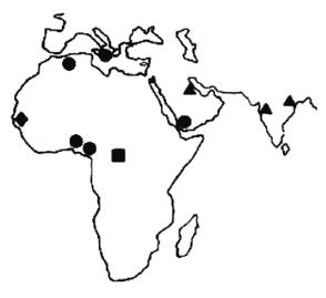 Иллюстрация к книге — Эректус бродит между нами. Покорение белой расы [p224.jpg]