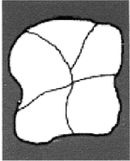 Иллюстрация к книге — Эректус бродит между нами. Покорение белой расы [p235.jpg]