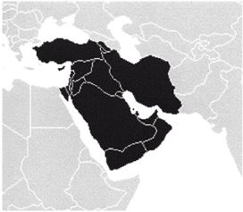 Иллюстрация к книге — Эректус бродит между нами. Покорение белой расы [p242.jpg]